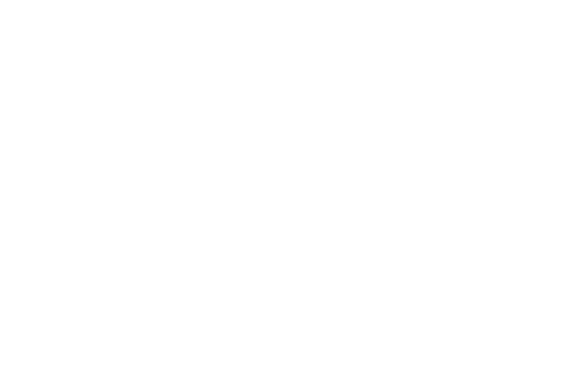 nuvantex Logo. white. Smooth V2